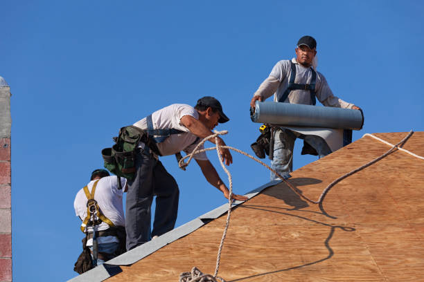 Roof Gutter Cleaning in Eau Claire, WI