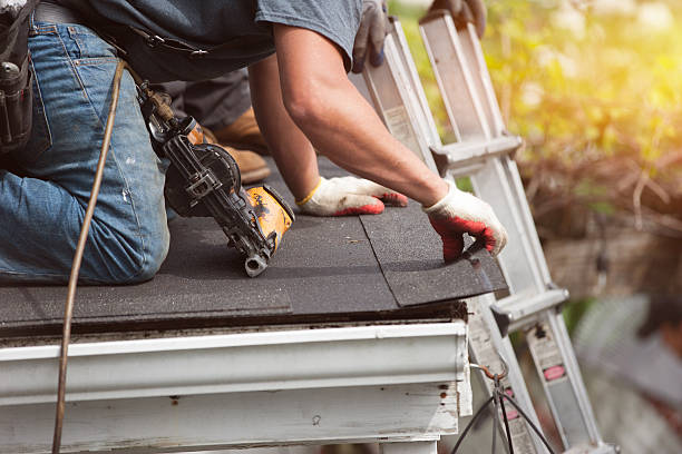 Best Roof Gutter Cleaning  in Eau Claire, WI